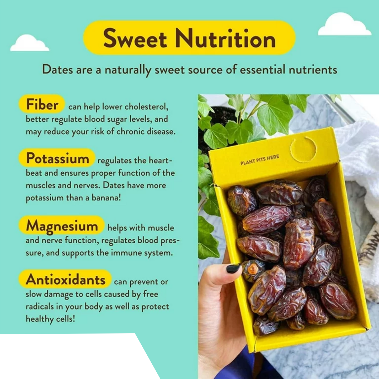 Premium Dates 500g Pack